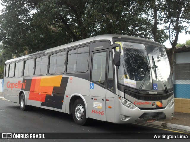 Transportes Capellini 13446 na cidade de Sumaré, São Paulo, Brasil, por Wellington Lima. Número da foto: #11165156.
