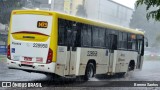 Viação Pioneira 228958 na cidade de Brasília, Distrito Federal, Brasil, por Brenno Santos. Número da foto: #11165999.