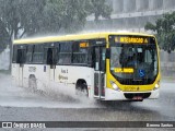 Viação Pioneira 227391 na cidade de Brasília, Distrito Federal, Brasil, por Brenno Santos. Número da foto: #11165987.