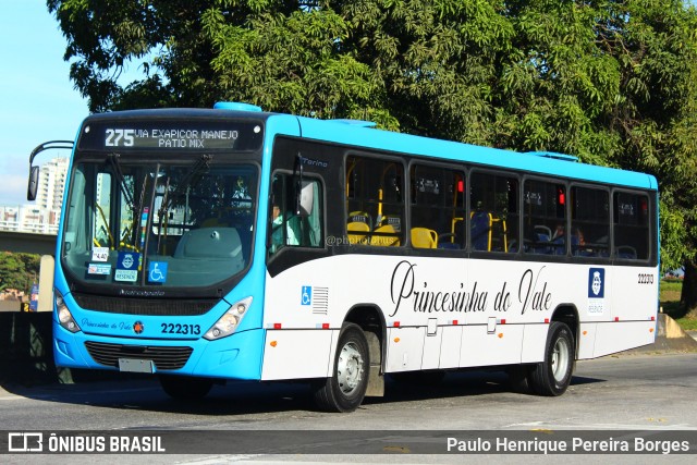 Princesinha do Vale 222313 na cidade de Resende, Rio de Janeiro, Brasil, por Paulo Henrique Pereira Borges. Número da foto: #11219621.