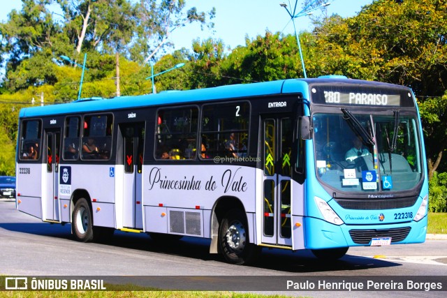 Princesinha do Vale 222318 na cidade de Resende, Rio de Janeiro, Brasil, por Paulo Henrique Pereira Borges. Número da foto: #11219648.