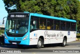 Princesinha do Vale 222319 na cidade de Resende, Rio de Janeiro, Brasil, por Paulo Henrique Pereira Borges. Número da foto: #11219656.