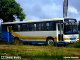 Ônibus Particulares 2493 na cidade de Paudalho, Pernambuco, Brasil, por Edjunior Sebastião. ID da foto: :id.