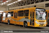 Transportes Coletivos Nossa Senhora da Piedade 293 na cidade de Campo Largo, Paraná, Brasil, por Marcus Prado. Número da foto: #:id.