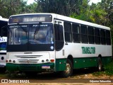 Translitur 2375 na cidade de Paudalho, Pernambuco, Brasil, por Edjunior Sebastião. Número da foto: #11228032.