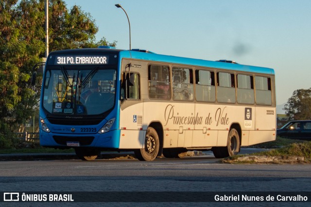 Princesinha do Vale 222325 na cidade de Resende, Rio de Janeiro, Brasil, por Gabriel Nunes de Carvalho. Número da foto: #11231672.