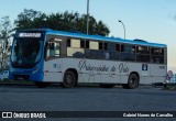 Princesinha do Vale 222310 na cidade de Resende, Rio de Janeiro, Brasil, por Gabriel Nunes de Carvalho. ID da foto: :id.