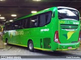 Pássaro Verde 19160 na cidade de Belo Horizonte, Minas Gerais, Brasil, por Hariel Bernades. Número da foto: #:id.
