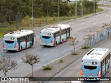 Auto Omnibus Floramar 10 na cidade de Belo Horizonte, Minas Gerais, Brasil, por Adão Raimundo Marcelino. Número da foto: #11236977.