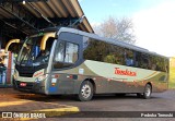 TransAcácia Turismo 3933 na cidade de Marilândia do Sul, Paraná, Brasil, por Pedroka Ternoski. Número da foto: #11234968.