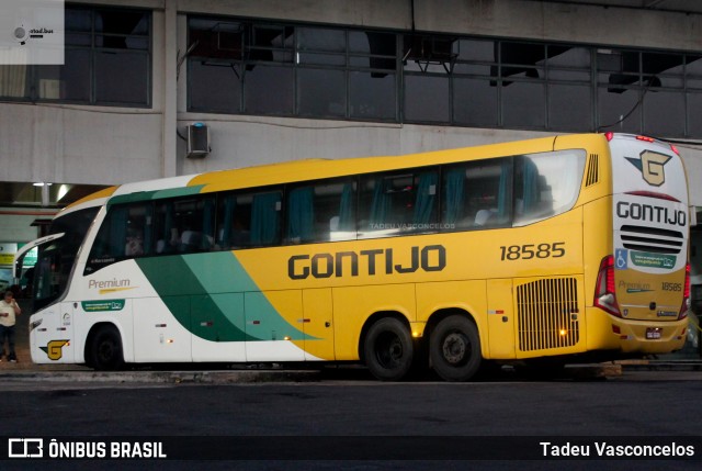 Empresa Gontijo de Transportes 18585 na cidade de Araçatuba, São Paulo, Brasil, por Tadeu Vasconcelos. ID da foto: 11237666.