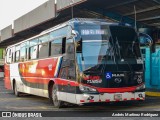 TUASA - Transportes Unidos Alajuelenses 102 na cidade de Alajuela, Alajuela, Costa Rica, por Andrés Martínez Rodríguez. Número da foto: #11237273.
