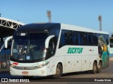 Eucatur - Empresa União Cascavel de Transportes e Turismo 4739 na cidade de Curitiba, Paraná, Brasil, por Ricardo Matu. ID da foto: :id.