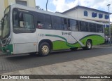 Turin Transportes 1235 na cidade de Congonhas, Minas Gerais, Brasil, por Helder Fernandes da Silva. Número da foto: #11167827.