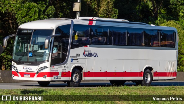 Expresso Maringá 6531 na cidade de Garuva, Santa Catarina, Brasil, por Vinicius Petris. Número da foto: #11171158.