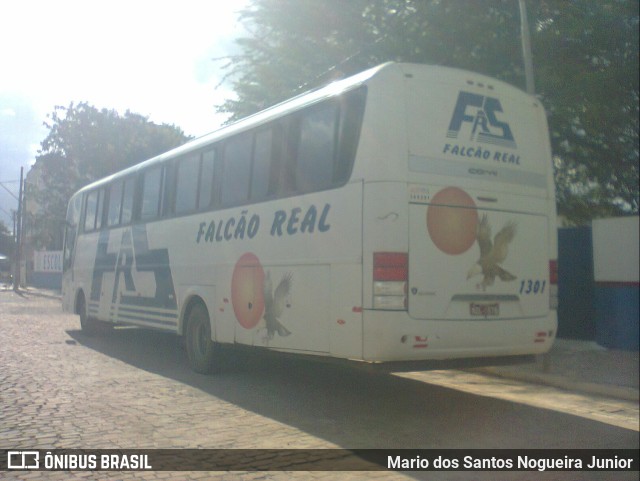 Falcão Real 1301 na cidade de Piritiba, Bahia, Brasil, por Mario dos Santos Nogueira Junior. ID da foto: 11169110.