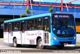 Princesinha do Vale 222309 na cidade de Resende, Rio de Janeiro, Brasil, por Paulo Henrique Pereira Borges. Número da foto: #11170966.