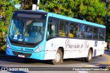 Princesinha do Vale 222308 na cidade de Resende, Rio de Janeiro, Brasil, por Paulo Henrique Pereira Borges. Número da foto: #11170963.