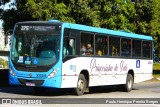 Princesinha do Vale 222312 na cidade de Resende, Rio de Janeiro, Brasil, por Paulo Henrique Pereira Borges. Número da foto: #11170974.
