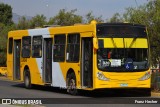 STP Santiago CJRD46 na cidade de Peñalolén, Santiago, Metropolitana de Santiago, Chile, por Franz Hecher. Número da foto: #11172899.