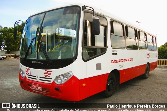 Empresa de Ônibus Pássaro Marron 601 na cidade de Aparecida, São Paulo, Brasil, por Paulo Henrique Pereira Borges. ID da foto: 11178069.