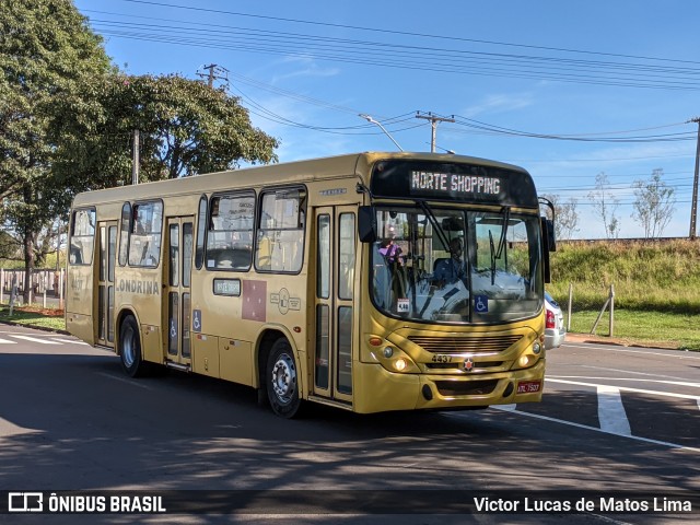 TCGL - Transportes Coletivos Grande Londrina 4437 na cidade de Londrina, Paraná, Brasil, por Victor Lucas de Matos Lima. Número da foto: #11179351.