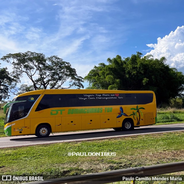 Dominguinhos Tur  na cidade de Terezópolis de Goiás, Goiás, Brasil, por Paulo Camillo Mendes Maria. Número da foto: #11179528.