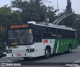 Next Mobilidade - ABC Sistema de Transporte 7053 na cidade de São Bernardo do Campo, São Paulo, Brasil, por Adriano Ônibus . Número da foto: #11180209.