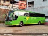 Pássaro Verde 29019 na cidade de Manhumirim, Minas Gerais, Brasil, por Paulo Eller. Número da foto: #11245044.