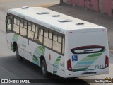 TCCC - Transporte Coletivo Cidade Canção 7336 na cidade de Belo Horizonte, Minas Gerais, Brasil, por Weslley Silva. Número da foto: #:id.