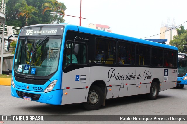 Princesinha do Vale 222335 na cidade de Resende, Rio de Janeiro, Brasil, por Paulo Henrique Pereira Borges. Número da foto: #11269243.