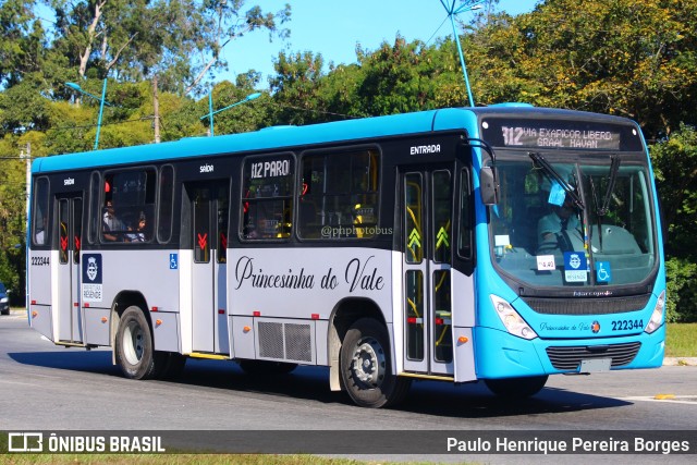 Princesinha do Vale 222344 na cidade de Resende, Rio de Janeiro, Brasil, por Paulo Henrique Pereira Borges. Número da foto: #11269248.