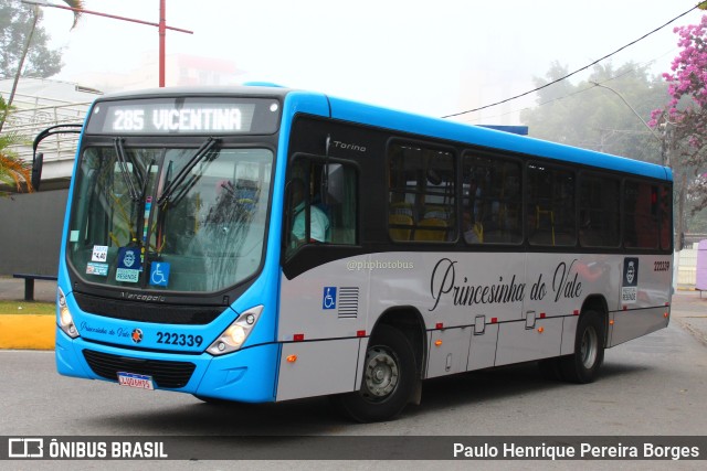 Princesinha do Vale 222339 na cidade de Resende, Rio de Janeiro, Brasil, por Paulo Henrique Pereira Borges. Número da foto: #11269244.