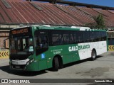 Viação Galo Branco RJ 181.094 na cidade de Niterói, Rio de Janeiro, Brasil, por Fernando Silva. Número da foto: #:id.
