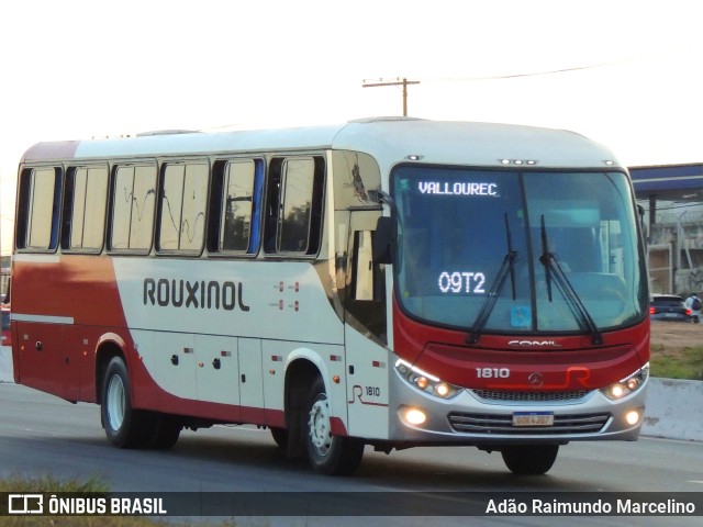 Rouxinol 1810 na cidade de Belo Horizonte, Minas Gerais, Brasil, por Adão Raimundo Marcelino. ID da foto: 11273599.