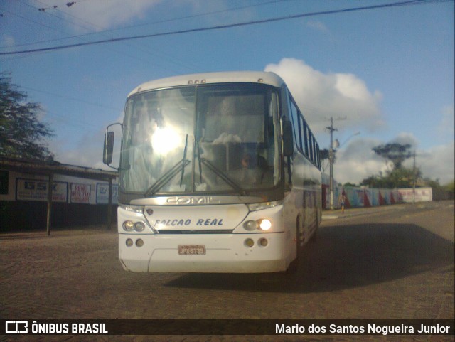 Falcão Real 1170 na cidade de Piritiba, Bahia, Brasil, por Mario dos Santos Nogueira Junior. Número da foto: #11271810.