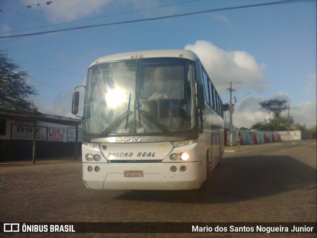 Falcão Real 1170 na cidade de Piritiba, Bahia, Brasil, por Mario dos Santos Nogueira Junior. ID da foto: 11271810.