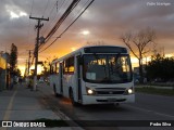 Embrapa 0694 na cidade de Pelotas, Rio Grande do Sul, Brasil, por Pedro Silva. Número da foto: #11271962.