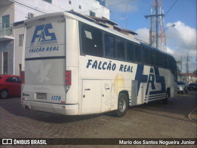 Falcão Real 1170 na cidade de Piritiba, Bahia, Brasil, por Mario dos Santos Nogueira Junior. ID da foto: 11275142.