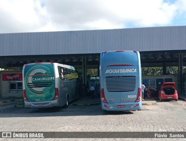 Viação Águia Branca 50210 na cidade de Cruz das Almas, Bahia, Brasil, por Flávio  Santos. ID da foto: 11280151.