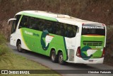 Pássaro Verde 11101 na cidade de Coimbra, Minas Gerais, Brasil, por Christian  Fortunato. Número da foto: #:id.