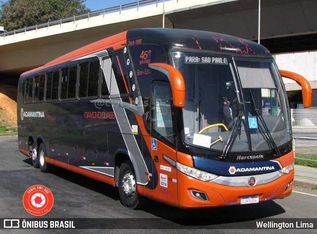 Expresso Adamantina 431311 na cidade de Campinas, São Paulo, Brasil, por Wellington Lima. Número da foto: #11288401.