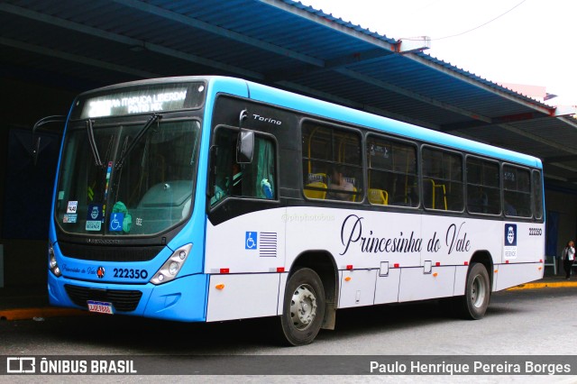 Princesinha do Vale 222350 na cidade de Resende, Rio de Janeiro, Brasil, por Paulo Henrique Pereira Borges. ID da foto: 11289568.