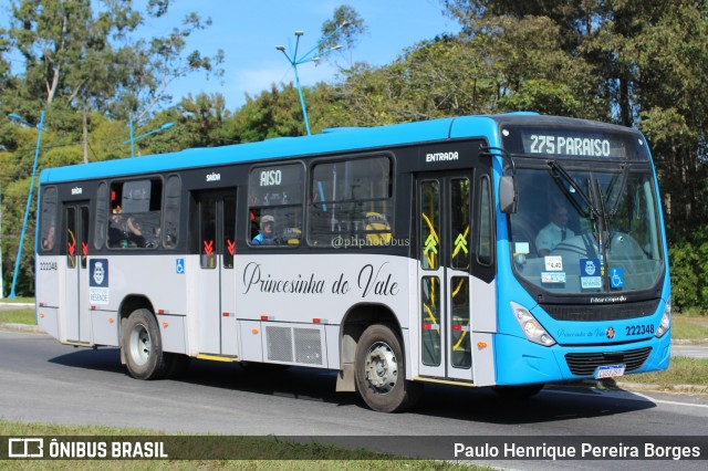 Princesinha do Vale 222348 na cidade de Resende, Rio de Janeiro, Brasil, por Paulo Henrique Pereira Borges. Número da foto: #11289557.