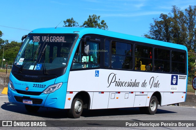Princesinha do Vale 222357 na cidade de Resende, Rio de Janeiro, Brasil, por Paulo Henrique Pereira Borges. Número da foto: #11289588.
