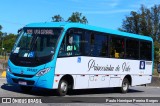 Princesinha do Vale 222357 na cidade de Resende, Rio de Janeiro, Brasil, por Paulo Henrique Pereira Borges. Número da foto: #11289588.