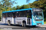 Princesinha do Vale 222347 na cidade de Resende, Rio de Janeiro, Brasil, por Paulo Henrique Pereira Borges. Número da foto: #11289555.