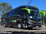 Viação Garcia 82359 na cidade de Paranavaí, Paraná, Brasil, por Celso da Silva Ramos. Número da foto: #11246999.