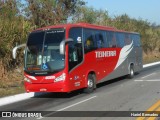 Empresa Irmãos Teixeira 60200 na cidade de Carmo do Cajuru, Minas Gerais, Brasil, por Hariel Bernades. Número da foto: #11247296.