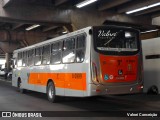 TRANSPPASS - Transporte de Passageiros 8 0999 na cidade de São Paulo, São Paulo, Brasil, por Valnei Conceição. Número da foto: #:id.